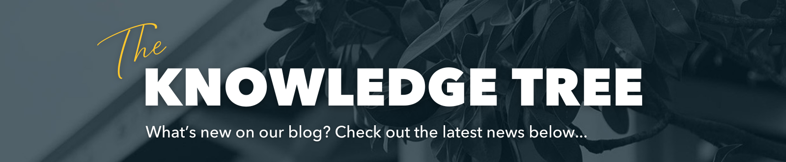 The Knowledge Tree